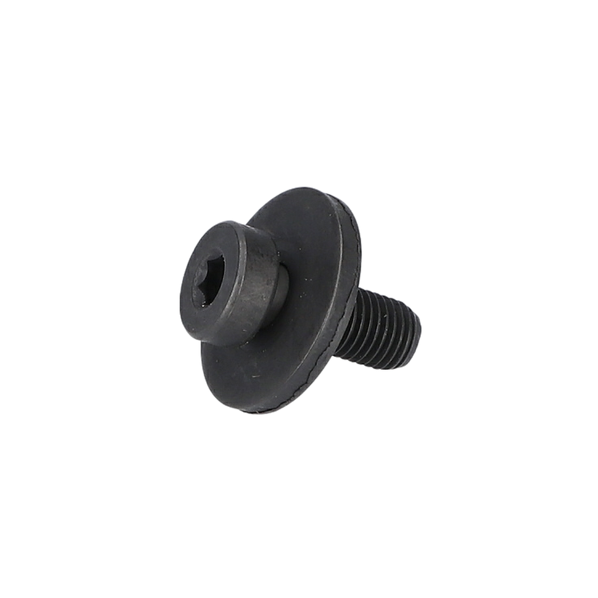 Kıskaç Vida (Clamp Screw) (1619P01634)