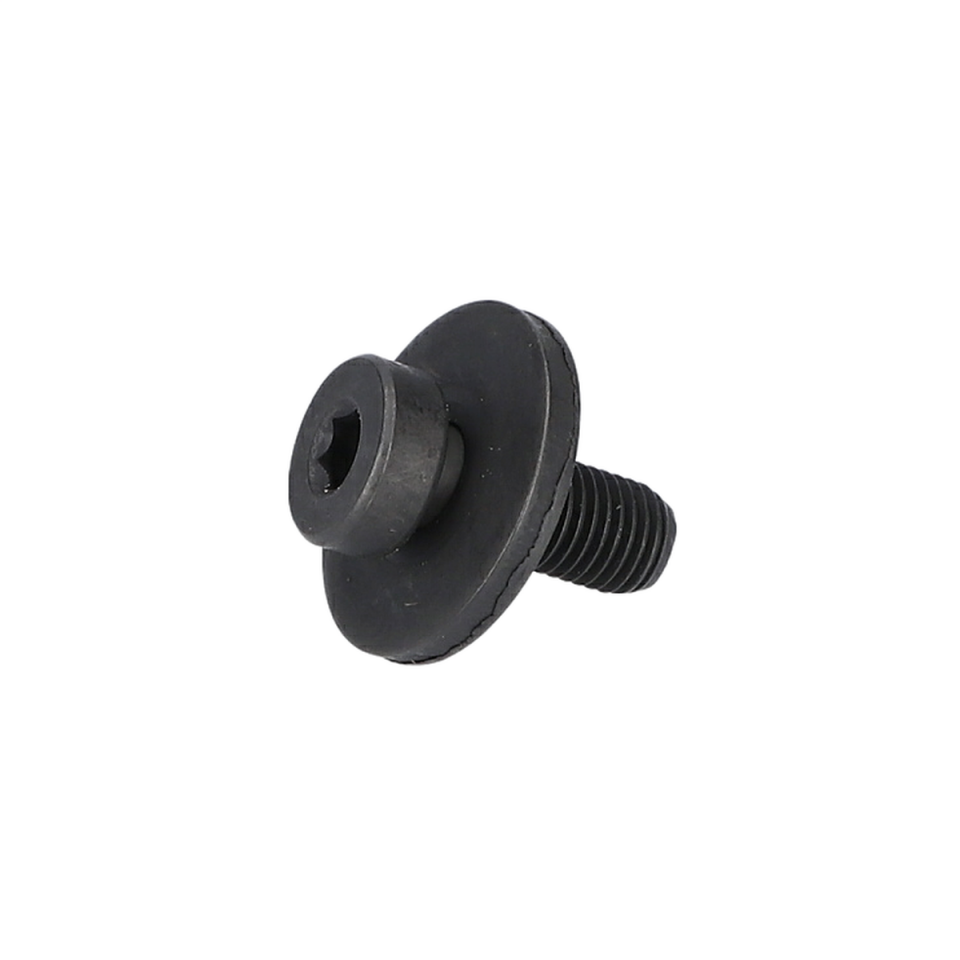 Kıskaç Vida (Clamp Screw) (1619P01634)