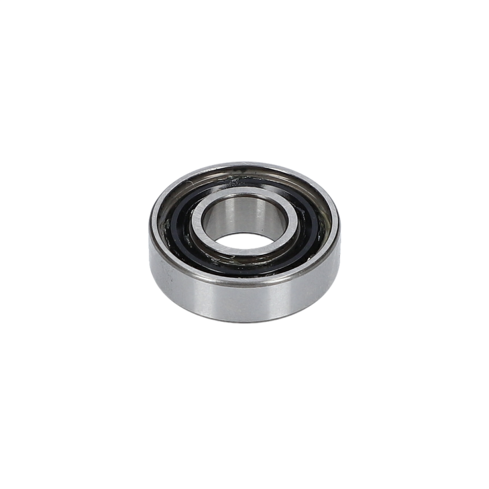 Oluklu Bilyeli Yatak (Groove Ball Bearing) (3600905038)