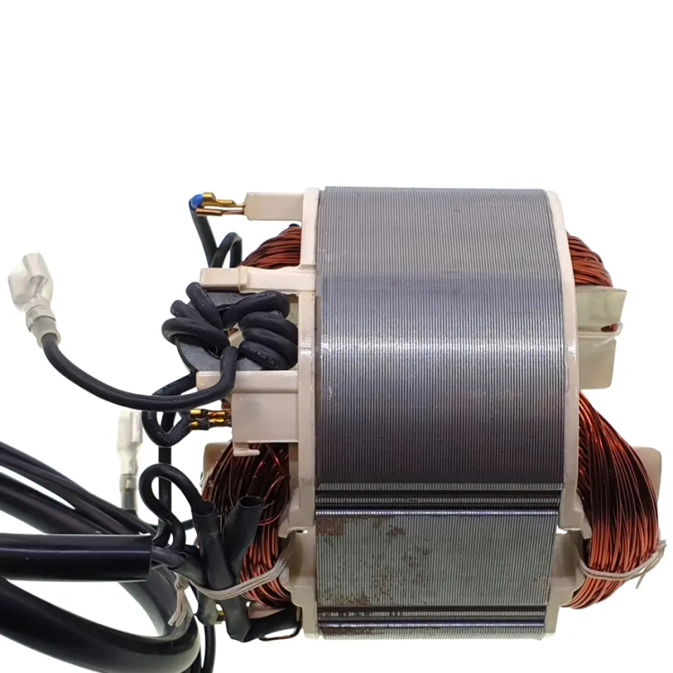 Kutup Pabucu (Field) (1619PA3194)