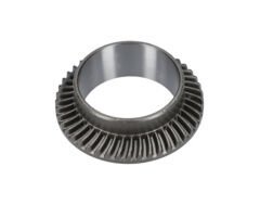 Tabla (Crown Gear) (1616333053)