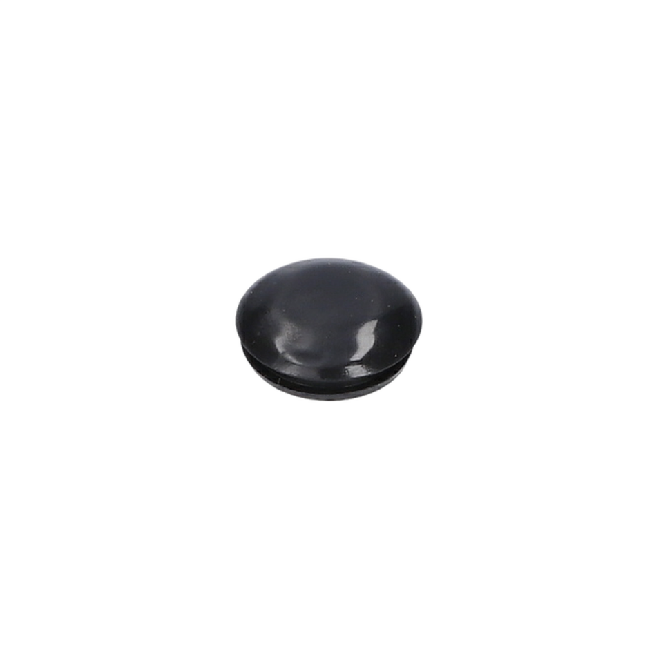 Tapa (Plug) (F016L73278)