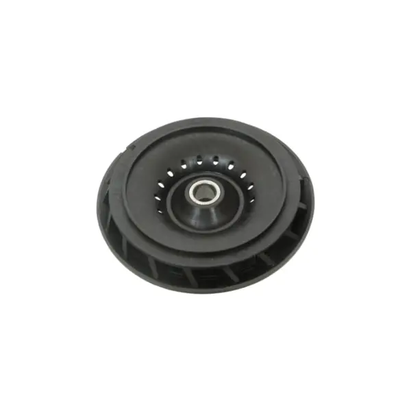 Fan (Fan) (1616610083)