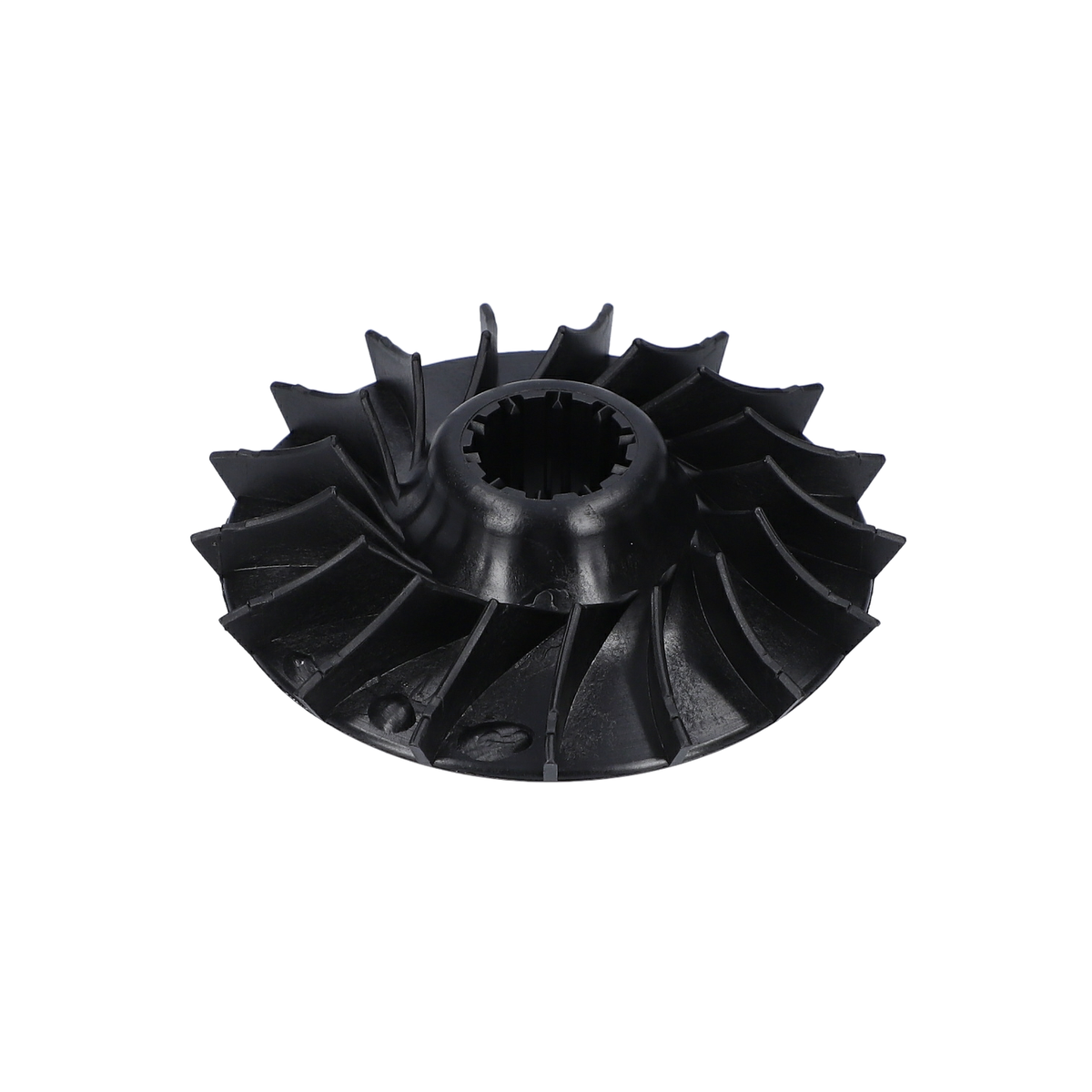 Fan (Fan) (1616610085)