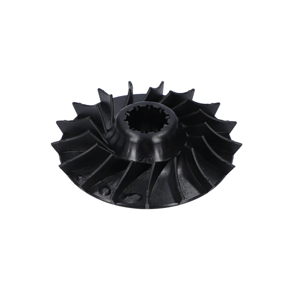 Fan (Fan) (1616610085)