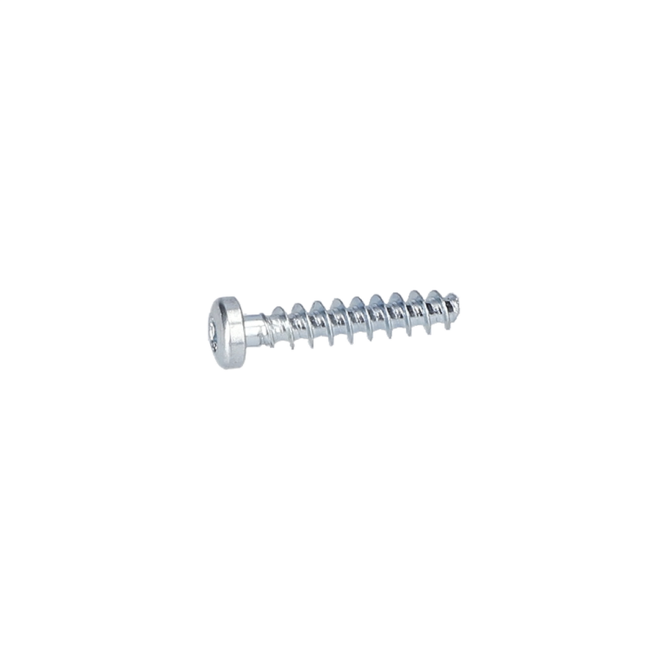 Torx Mercimek Başli Vida (Torx Oval-Head Screw) (2914201529)