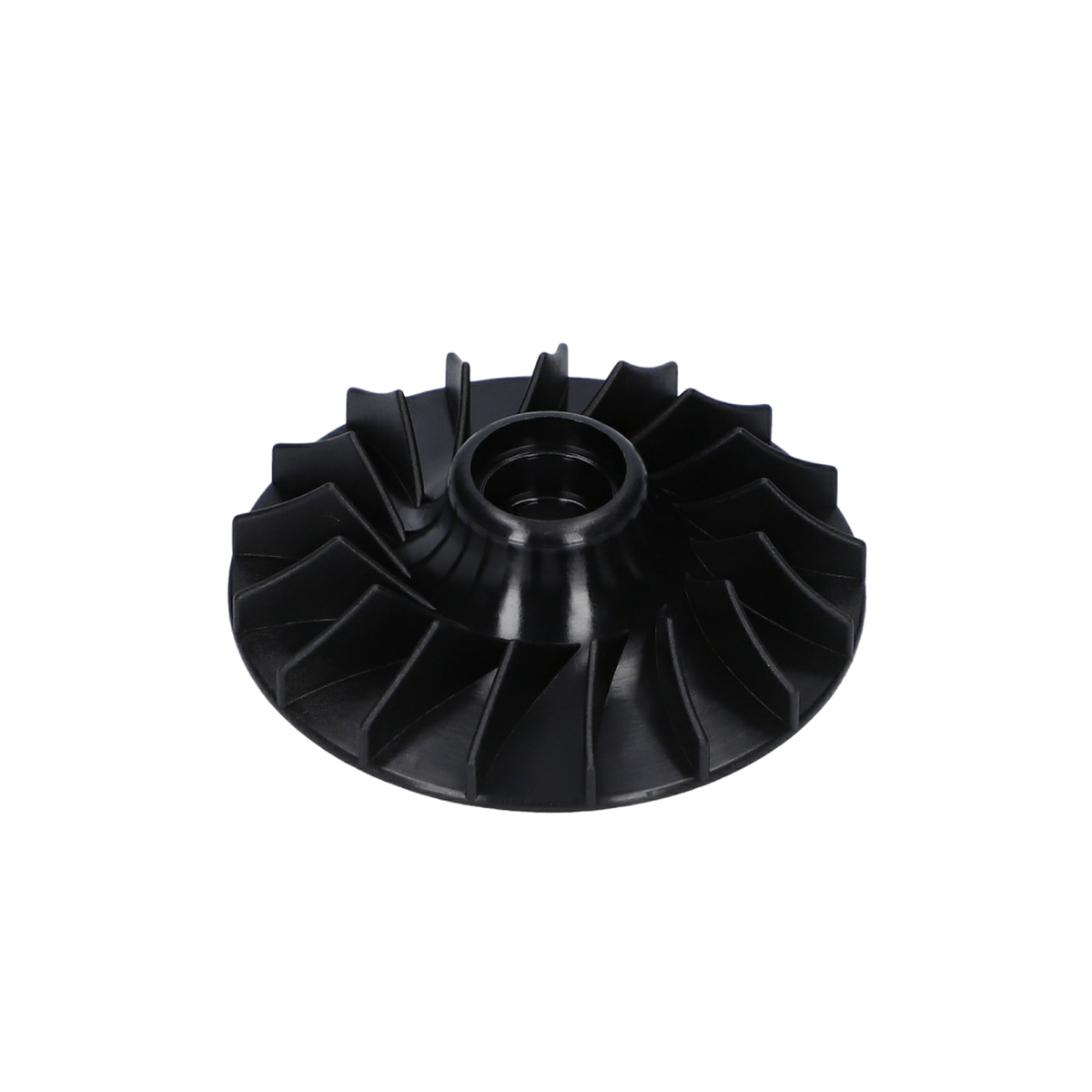 Fan (Fan) (1616610100)