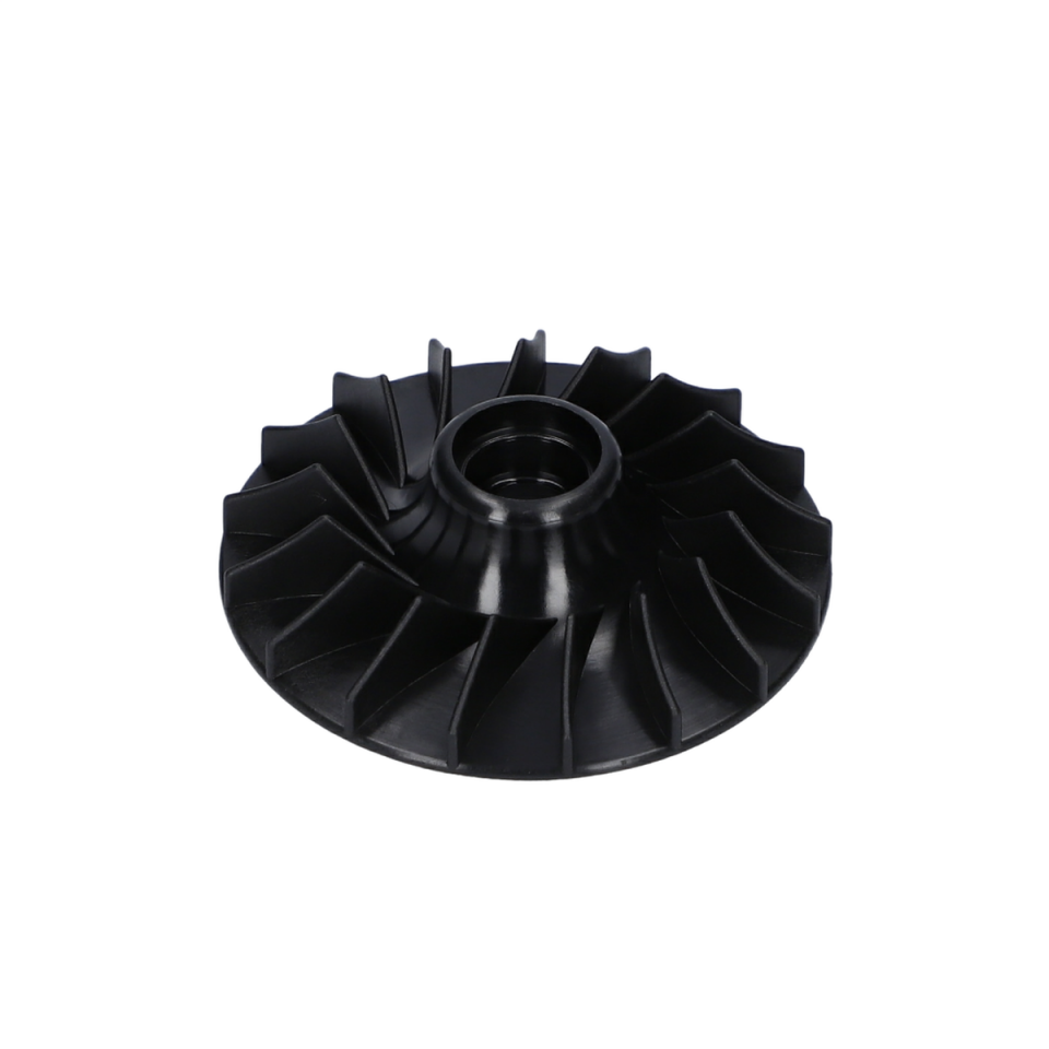Fan (Fan) (1616610100)