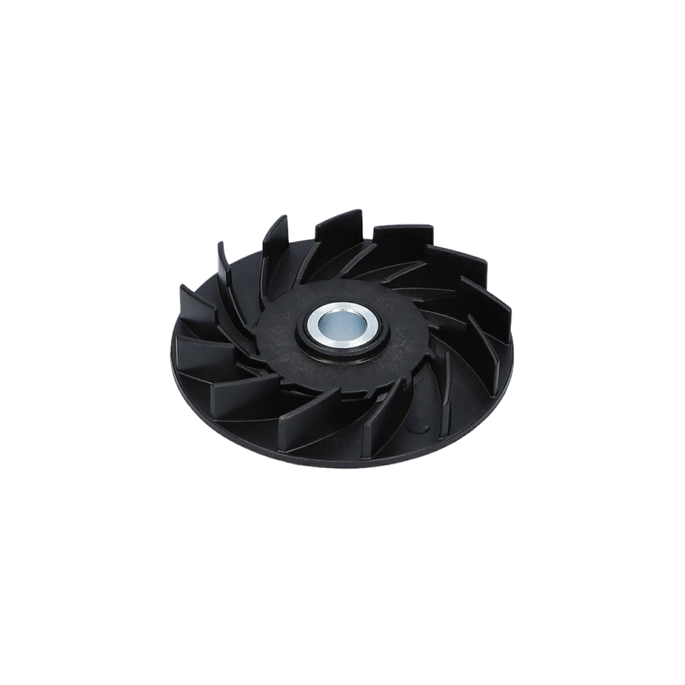 Fan (Fan) (1616610102)