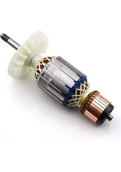 Endüvi (Armature) (1619P16541)