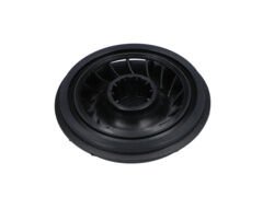 Fan (Fan) (1616610114)