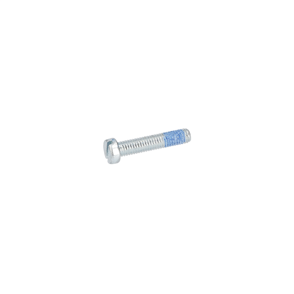 Mikro Kapsüllü Vida (Microencapsulated Screw) (2914551114)