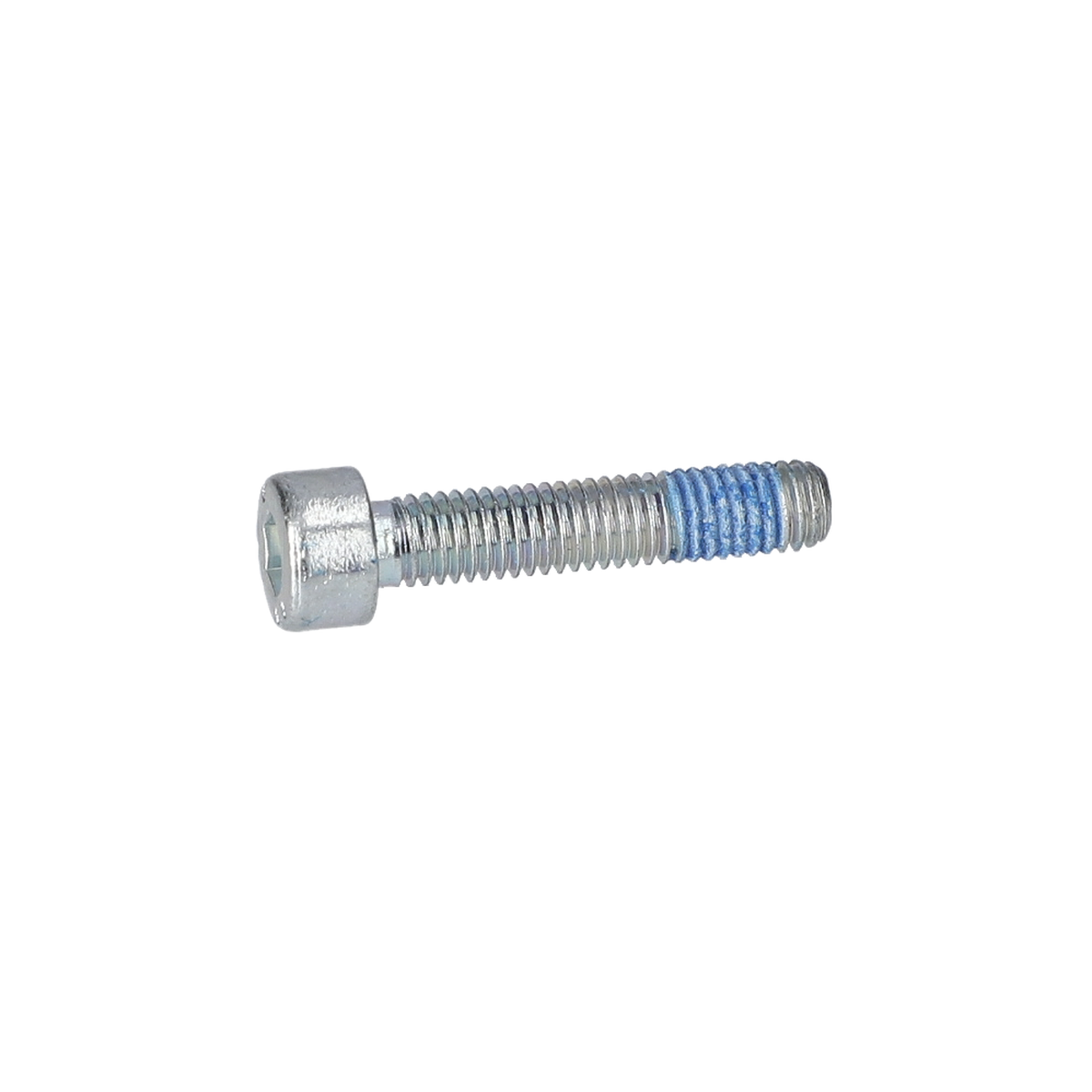 Mikro Kapsüllü Vida (Microencapsulated Screw) (2914551164)