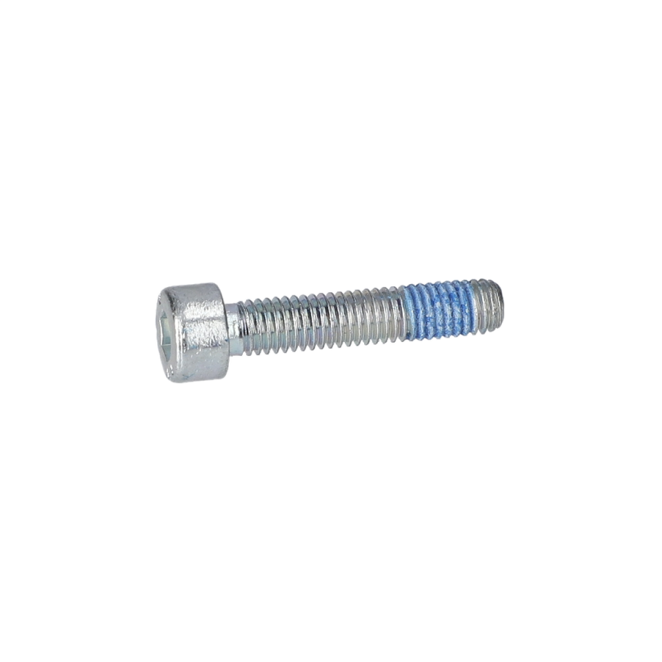 Mikro Kapsüllü Vida (Microencapsulated Screw) (2914551164)