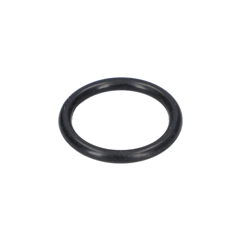 O Ring (O-Ring) (1619PA9891)