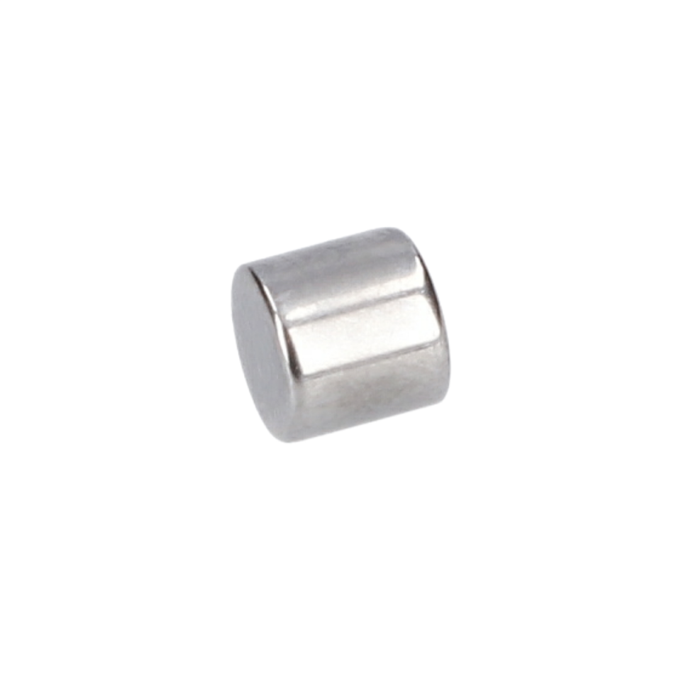 Silindirik Röle (Cylindrical Roller) (1619P10377)