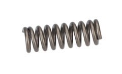 Baskı Yayı (Compression Spring) (1604613006)