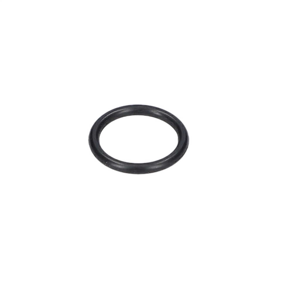 O Ring (O-Ring) (F016L73709)