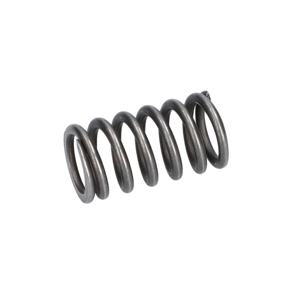Baskı Yayı (Compression Spring) (1604619017)