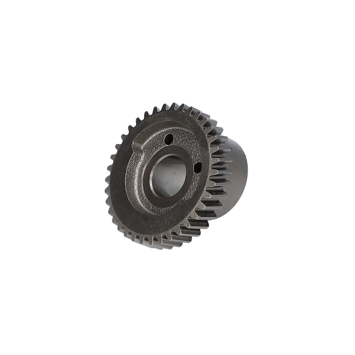 Eksantrik Dişli (Eccentric Cog Wheel) (1619P02581)