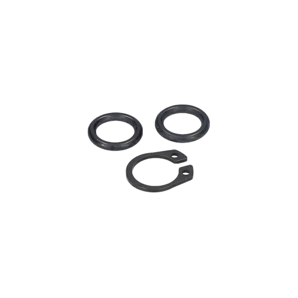 O-Ringsatz (O-Ring Kit) (F016F05403)