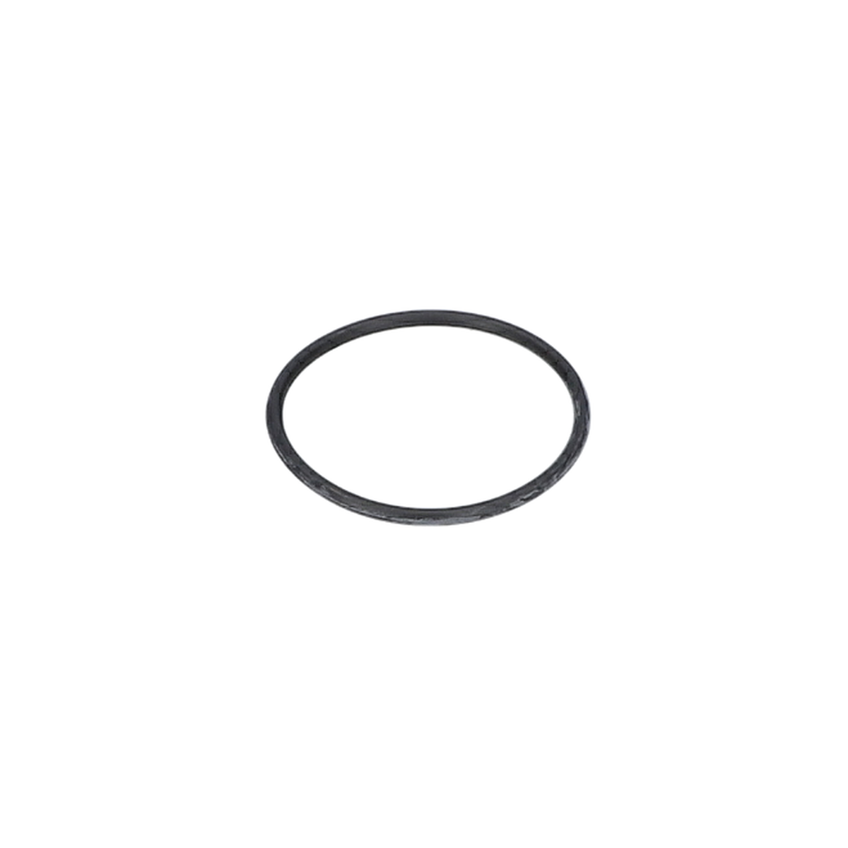 O Ring (O-Ring) (2600210019)