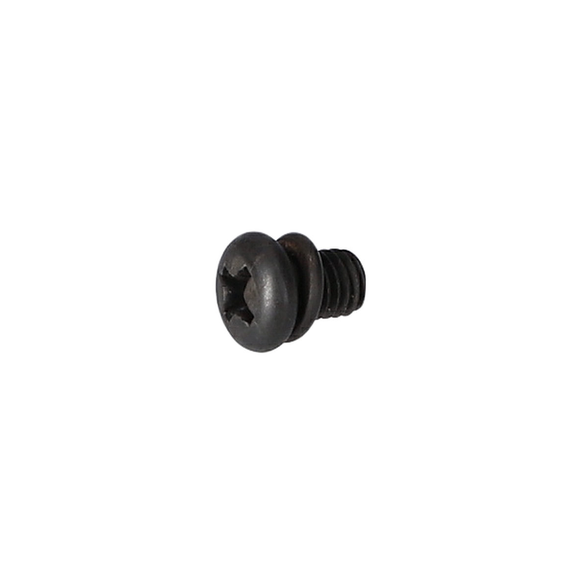 Vida (Screw) (1609902055)