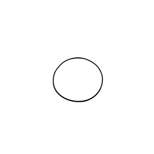 O Ring (O-Ring) (1619P02820)