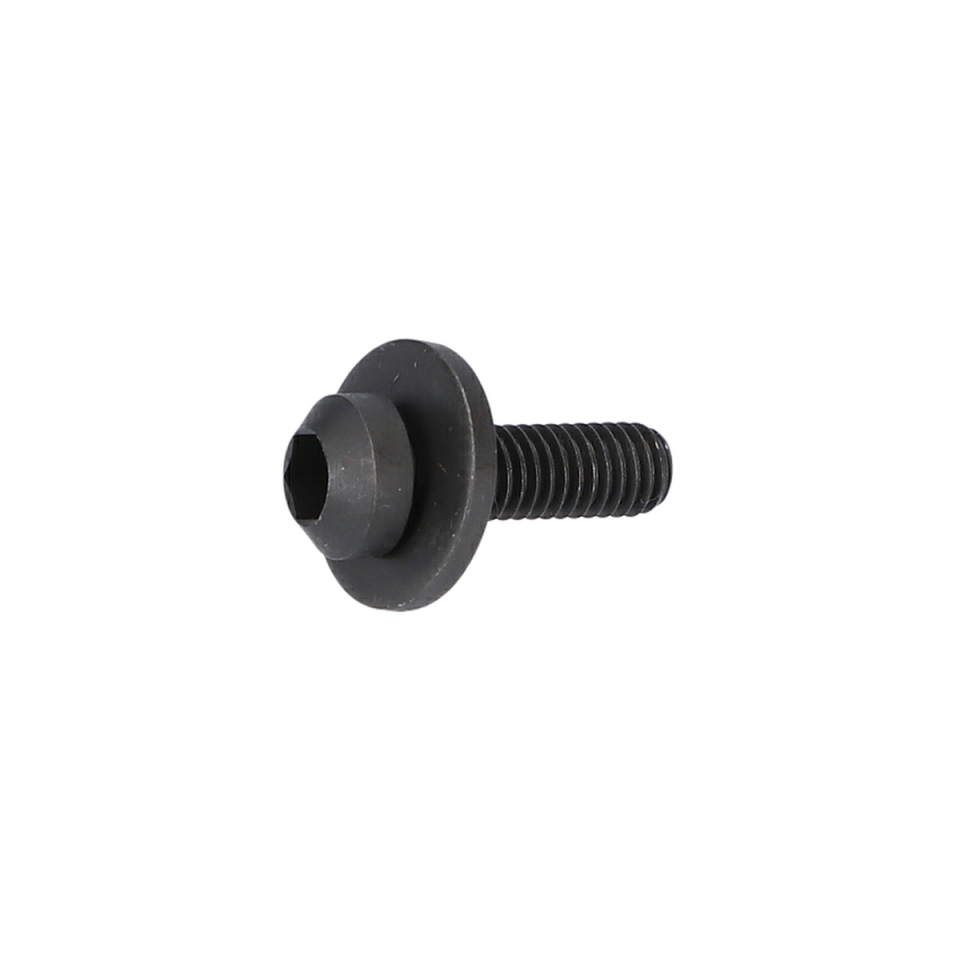 Kıskaç Vida (Clamp Screw) (1619P10786)