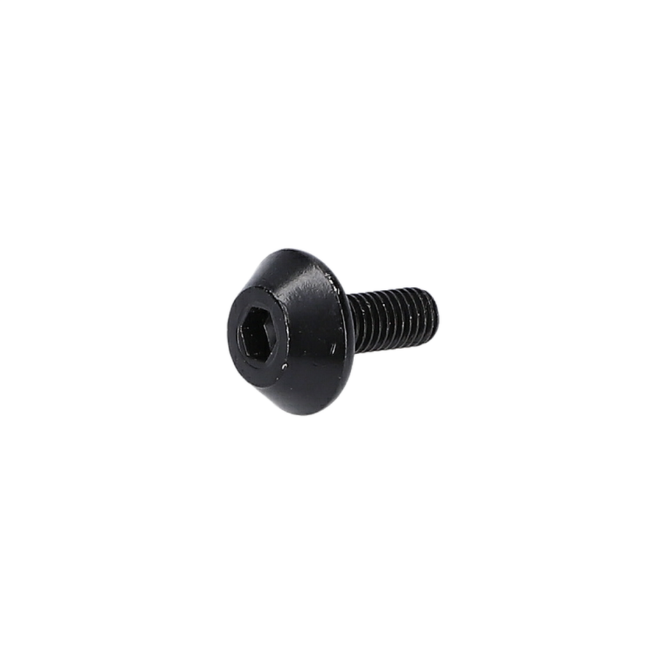 Silindir Vida (Thread-Forming Tap. Screw) (1619PA4354)
