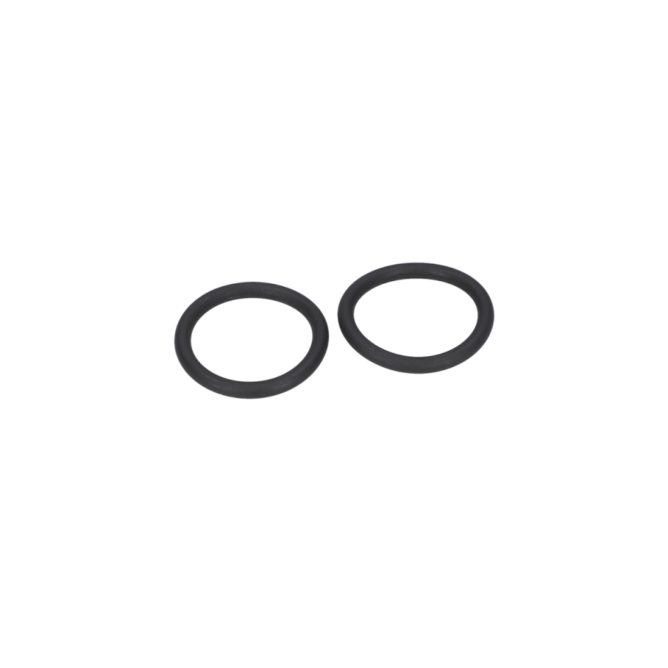 O Ring (O-Ring) (1617000755)