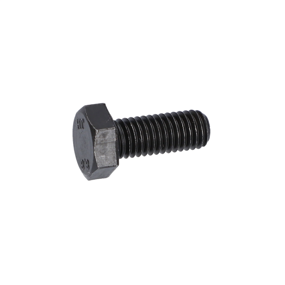 Altigen Vida (Hex Screw) (F016T48547)