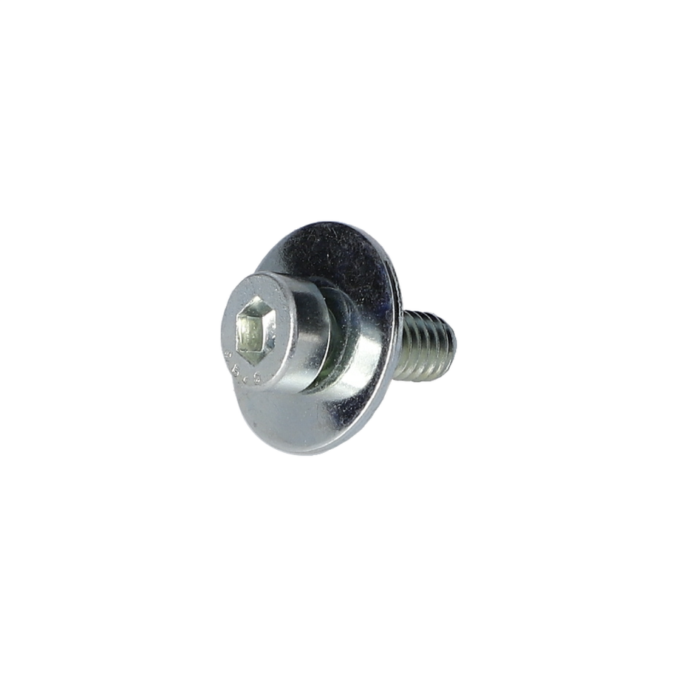 Alen Vida (Hex Socket Head Cap Screw) (2609000295)