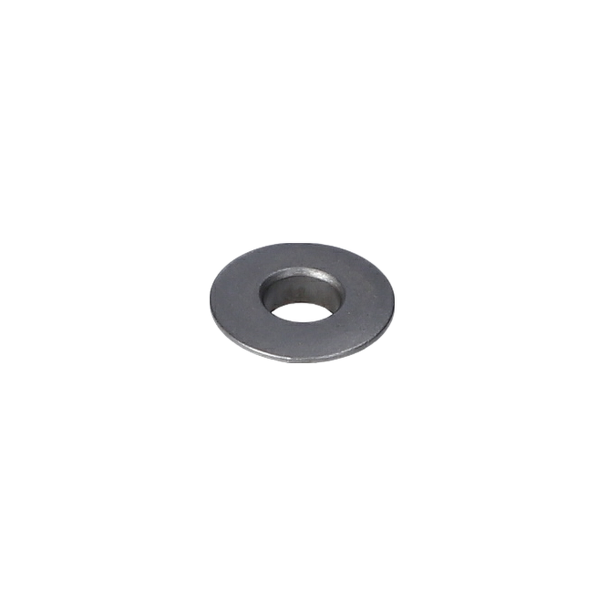 Aralik Burcu (Spacer Tube) (2609006721)
