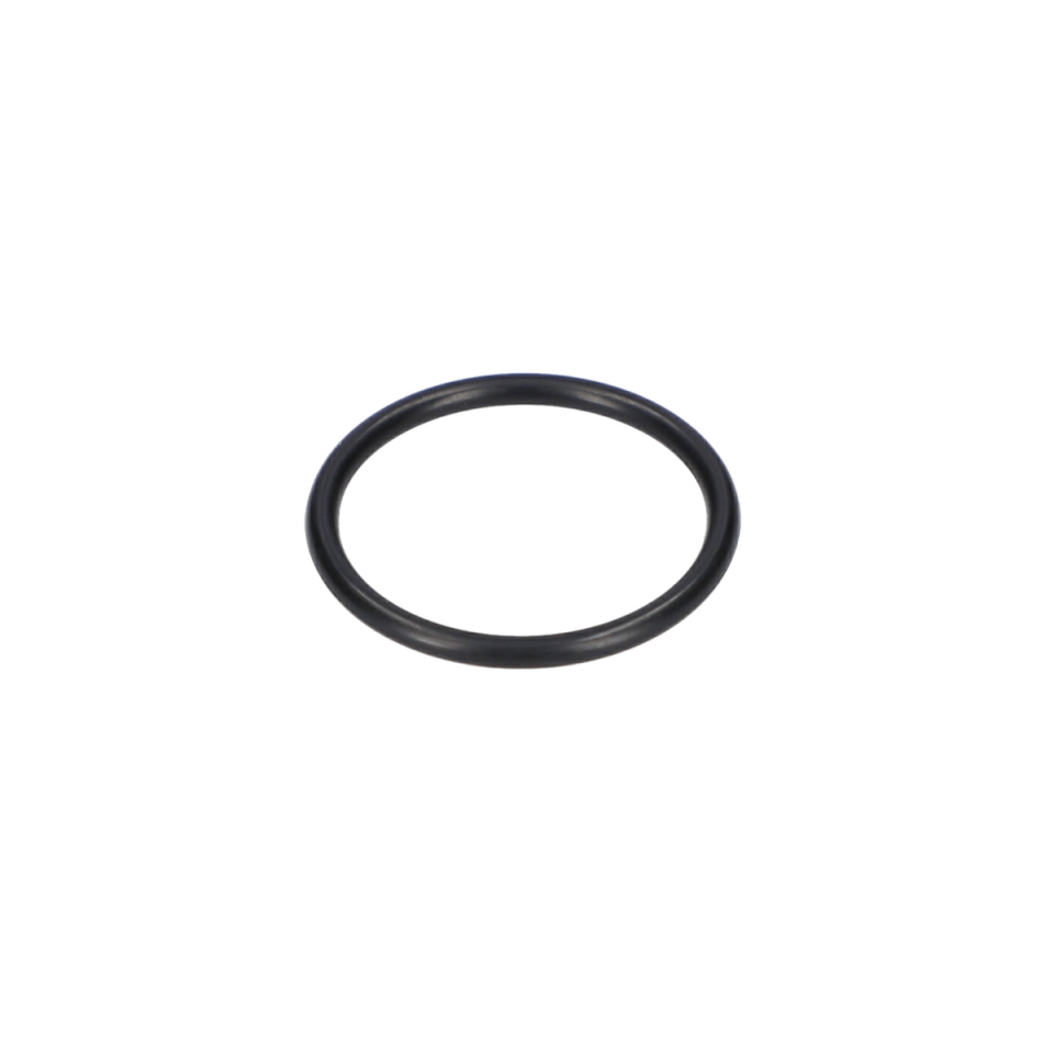 O Ring (O-Ring) (3609202386)