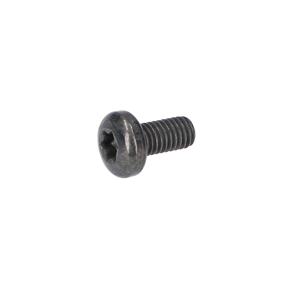 Mercimek Vida (Oval-Head Screw) (1600A001V5)