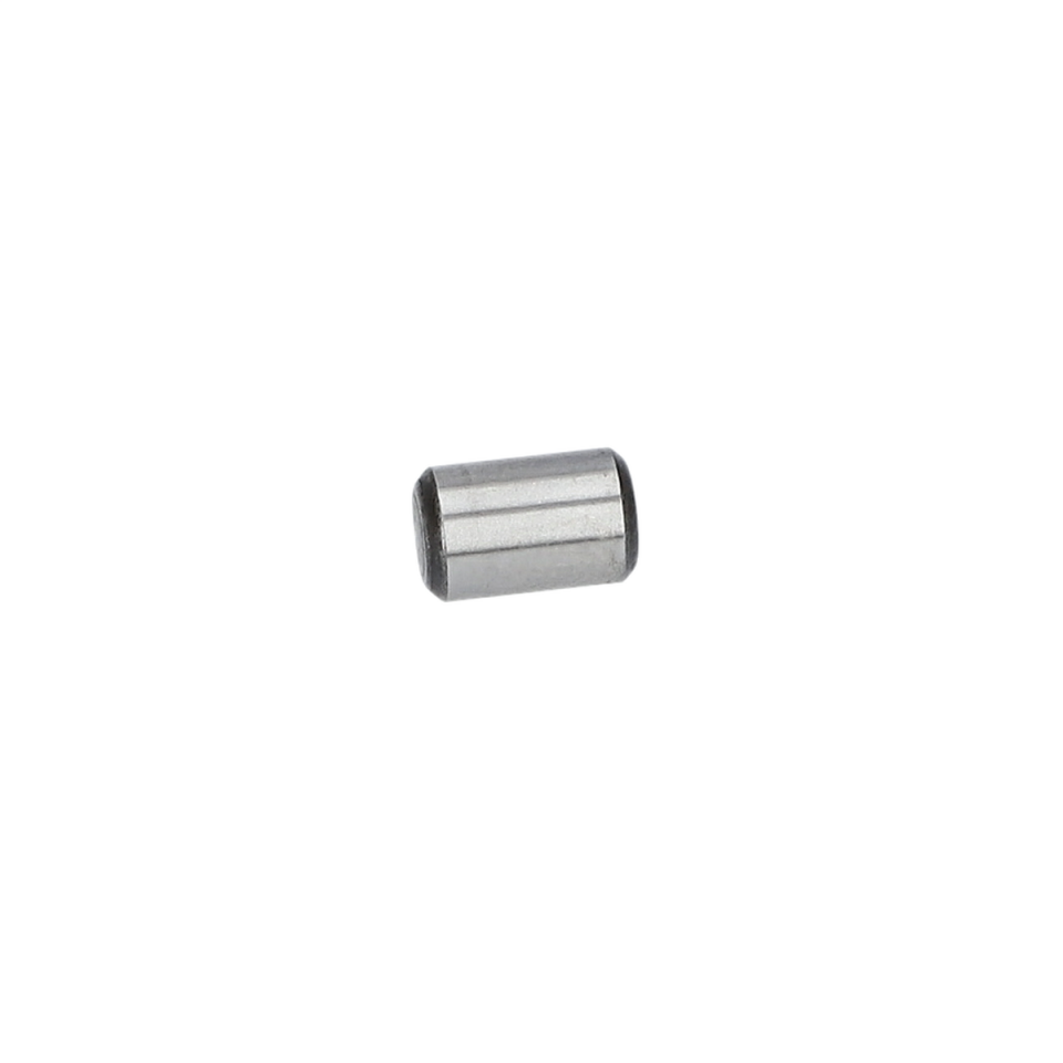 Silindirik Röle (Cylindrical Roller) (1613200020)