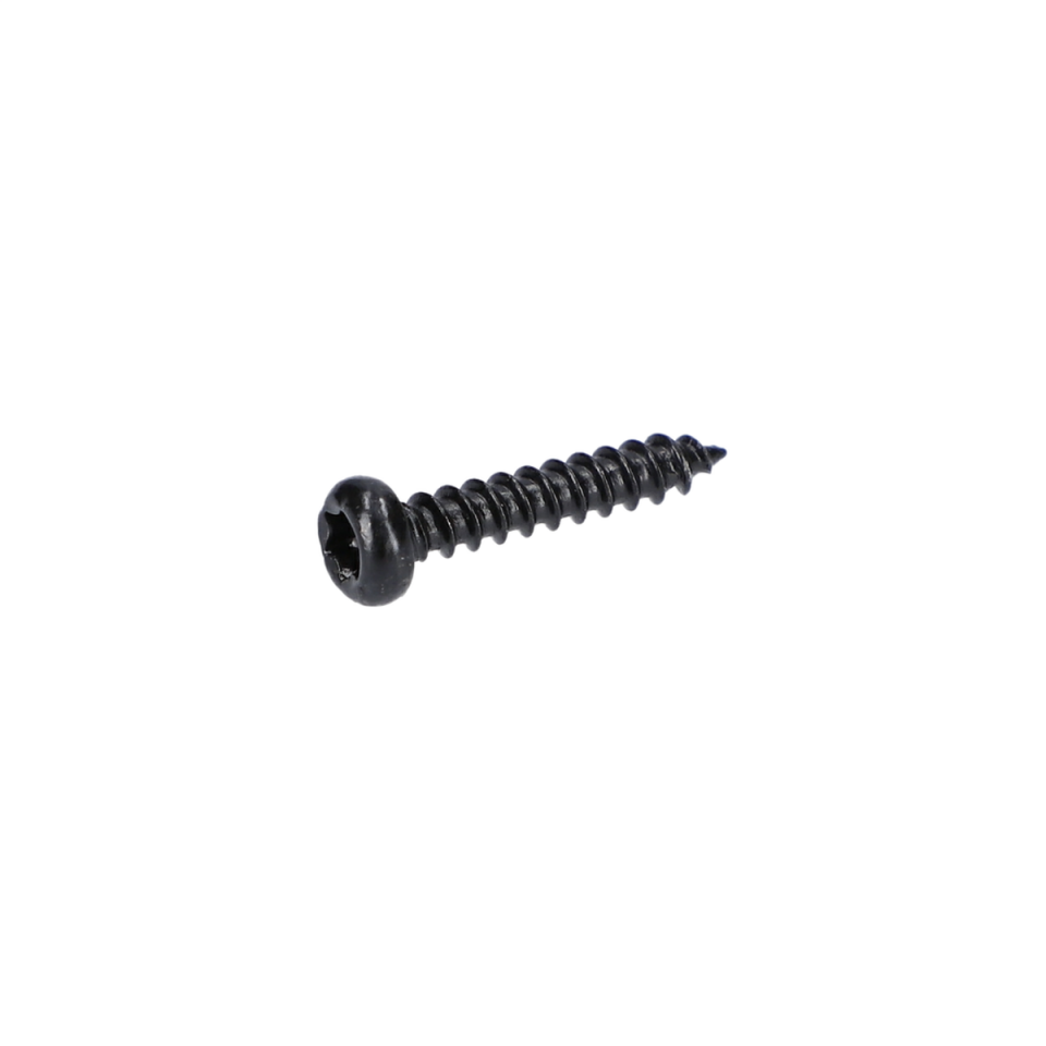 Sac Vidasi (Tapping Screw) (1619PA5249)