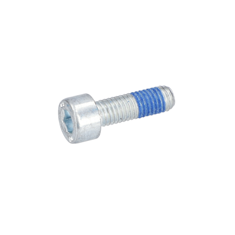 Mikro Kapsüllü Vida (Microencapsulated Screw) (1613414021)