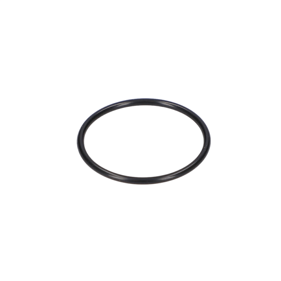 O Ring (O-Ring) (1610210013)