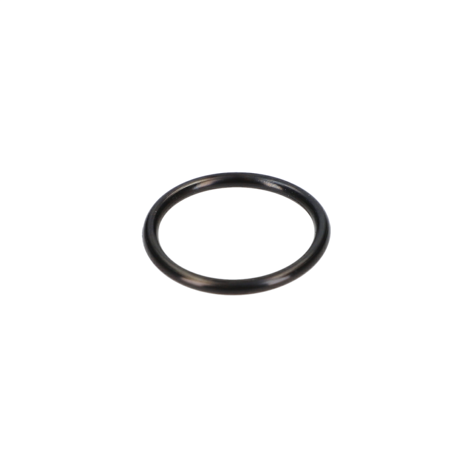 O Ring (O-Ring) (1610210068)