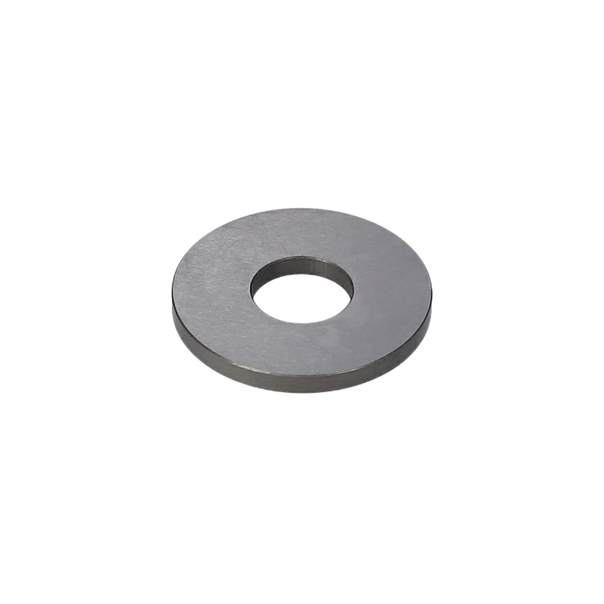 Baski Pulu (Pressure Disk) (3600101029)