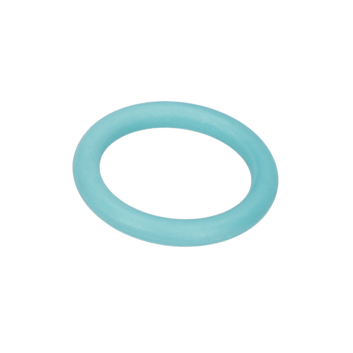 O Ring (O-Ring) (1610210079)