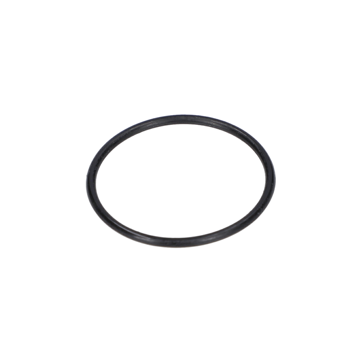 O Ring (O-Ring) (1610210084)