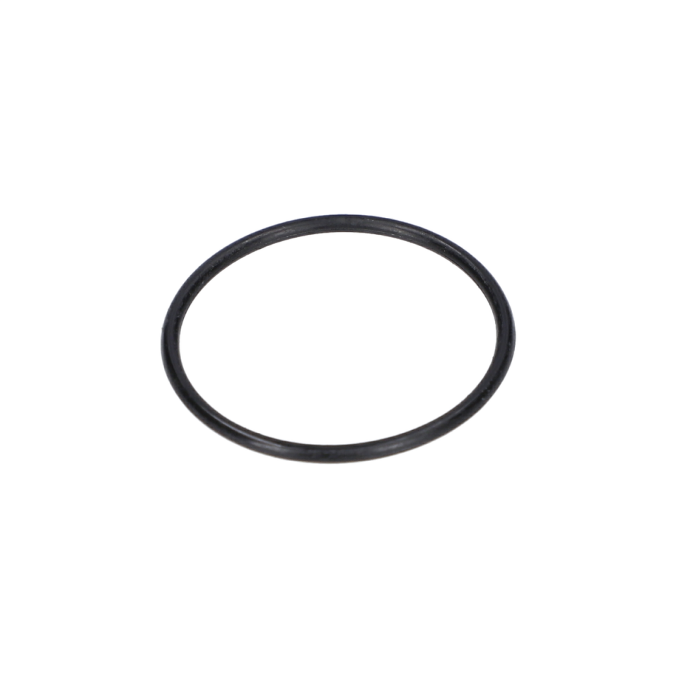 O Ring (O-Ring) (1610210084)