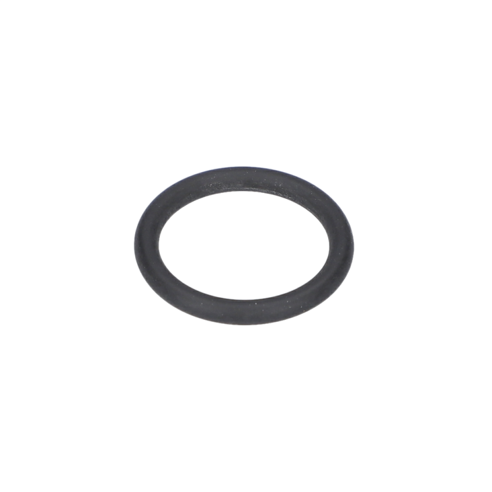 O Ring (O-Ring) (1610210094)