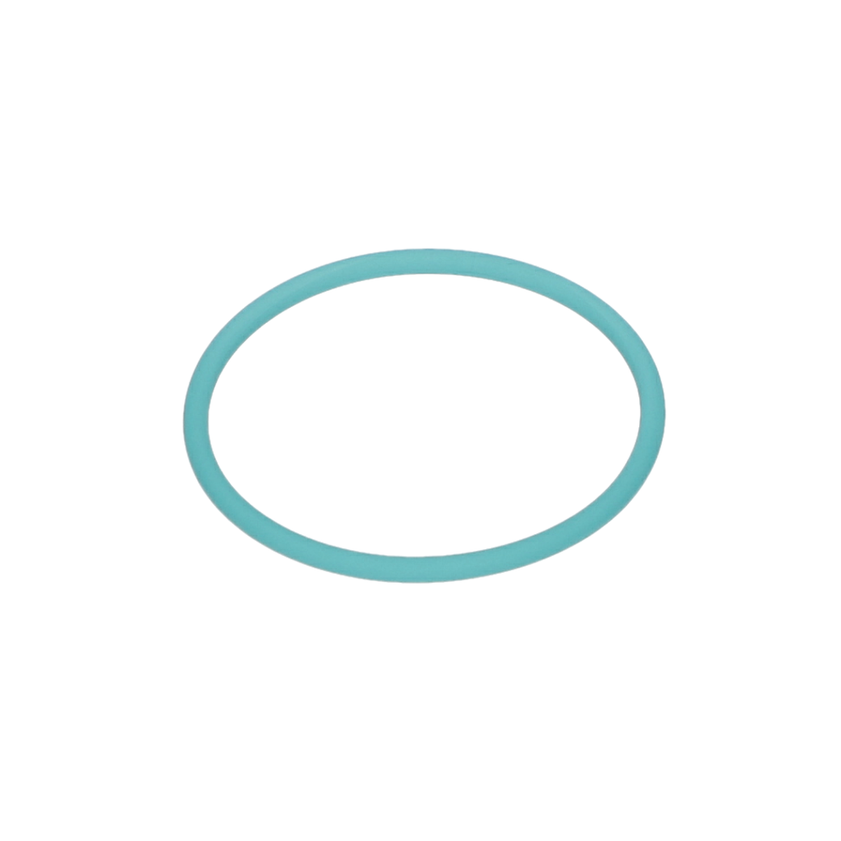 O Ring (O-Ring) (1610210103)