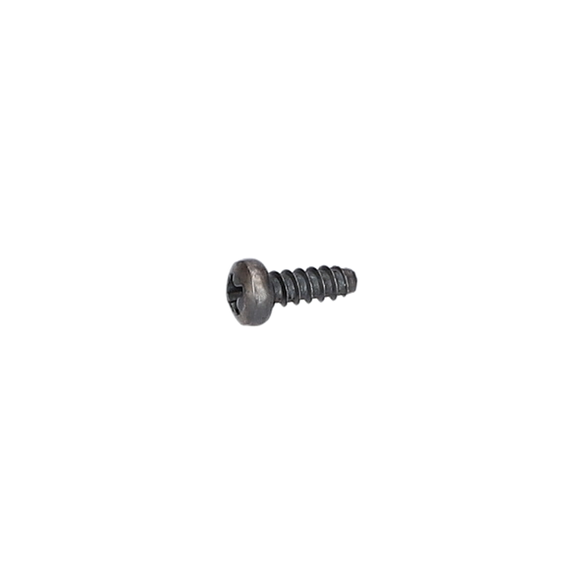 Mercimek Başli Vida (Lens Head Screw) (1613435038)