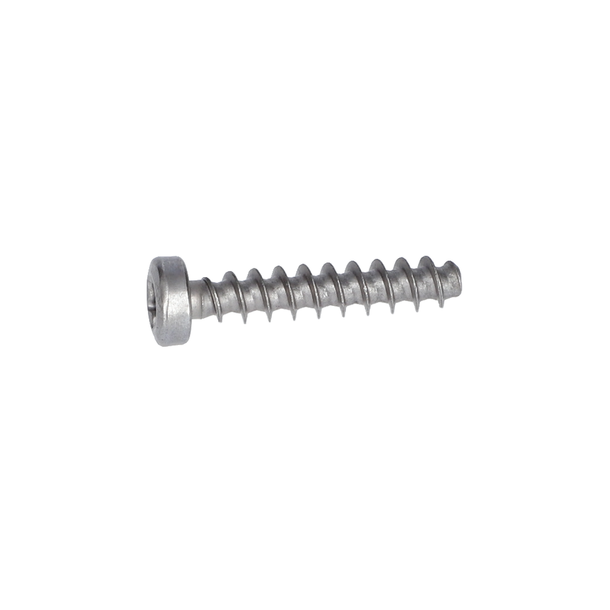 Torx Mercimek Başli Vida (Torx Oval-Head Screw) (1613435040)