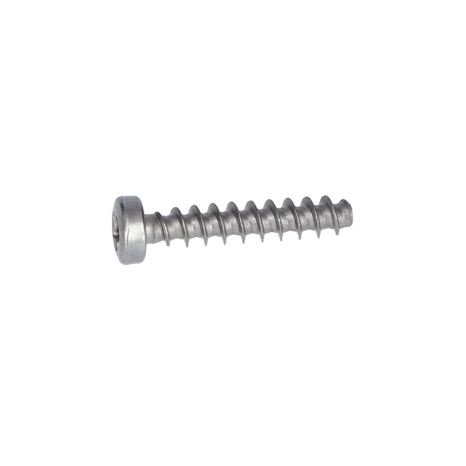Torx Mercimek Başli Vida (Torx Oval-Head Screw) (1613435040)